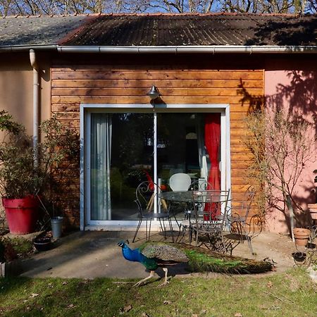 La Faisanderie Saint-Florent-sur-Cher エクステリア 写真