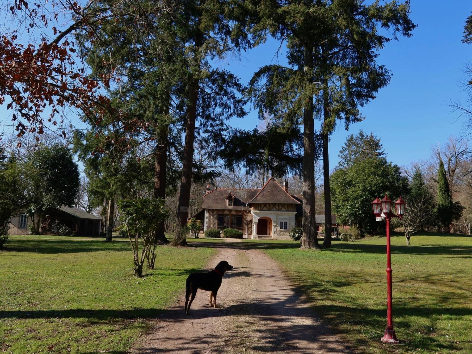 La Faisanderie Saint-Florent-sur-Cher エクステリア 写真