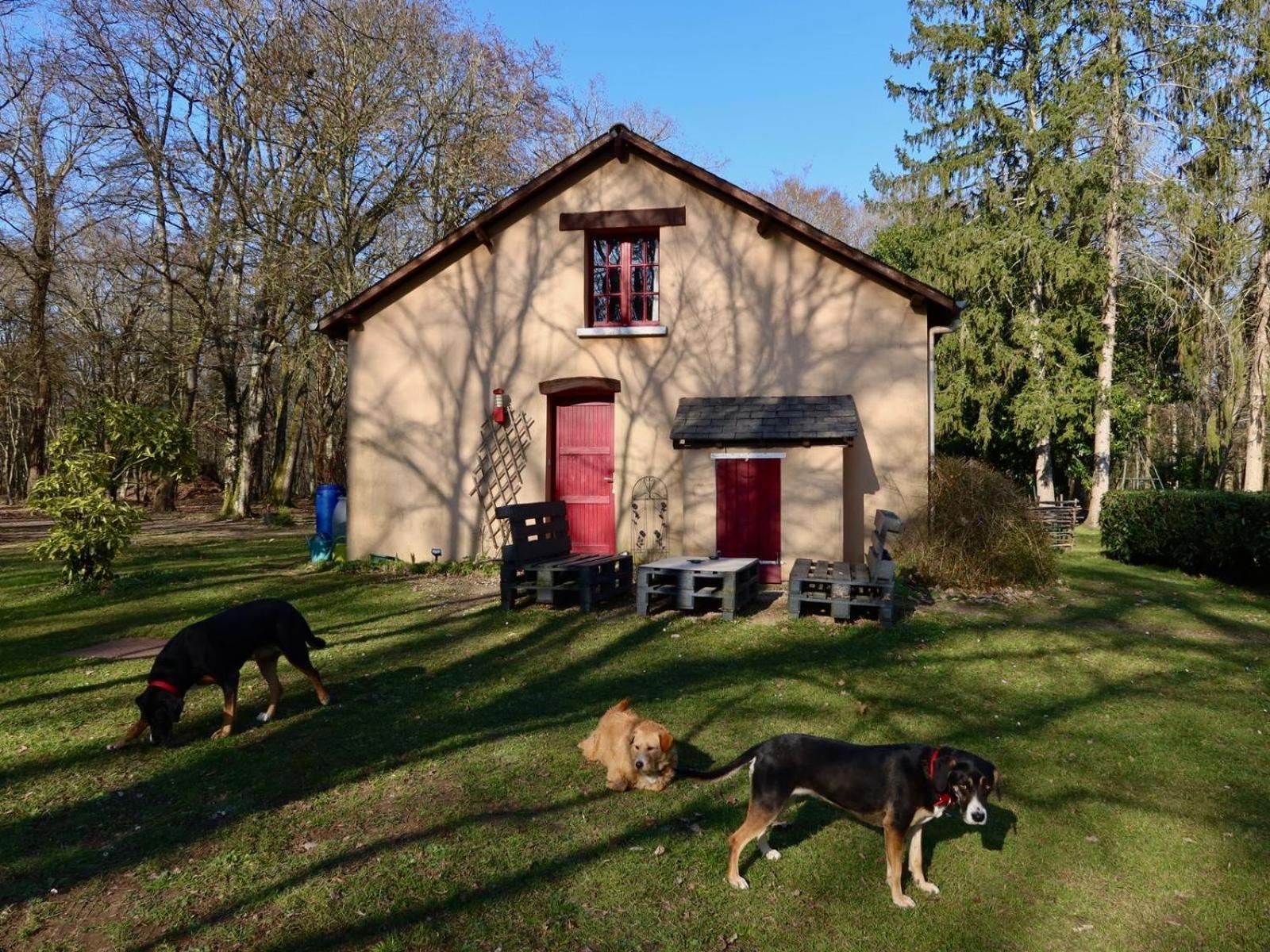 La Faisanderie Saint-Florent-sur-Cher エクステリア 写真