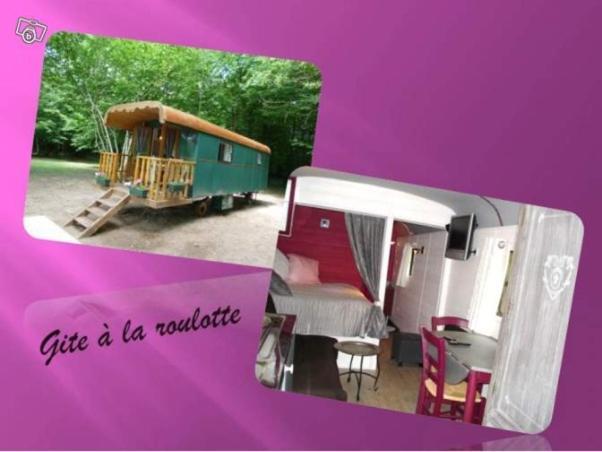 La Faisanderie Saint-Florent-sur-Cher エクステリア 写真